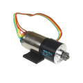 Encoderli DC Motorlar