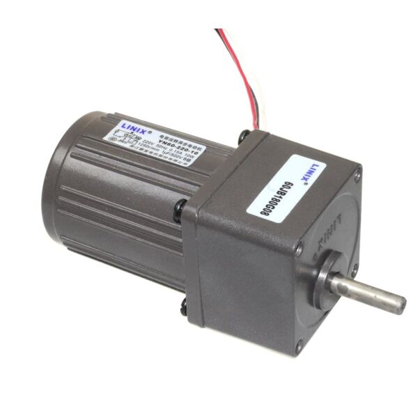 60mm 220V 16 RPM AC Motor YN60-220-10