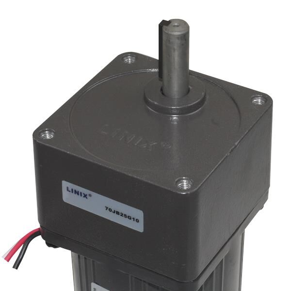 70mm 220V 34 RPM AC Motor YN70-15