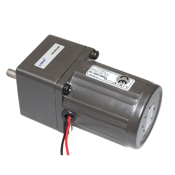 60mm 220V 85 RPM AC Motor YN60-220-10