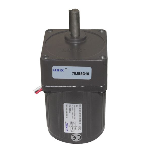 70mm 220V 16 RPM AC Motor YN70-15