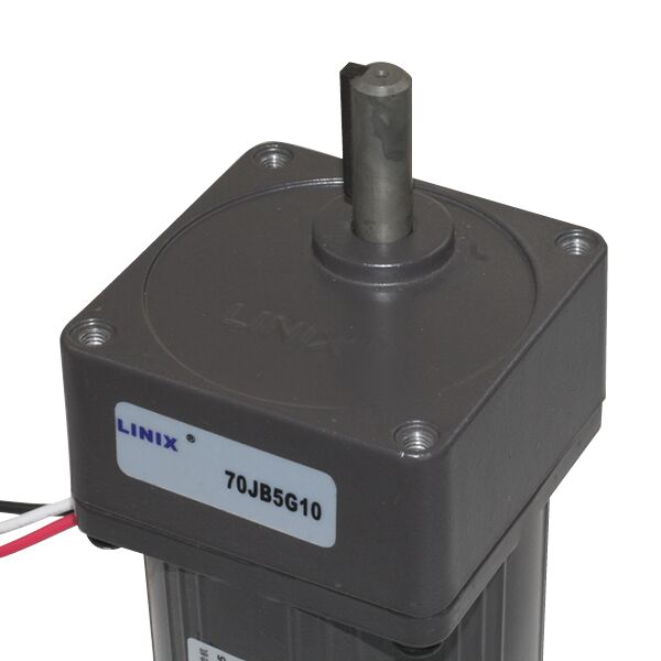 70mm 220V 16 RPM AC Motor YN70-15