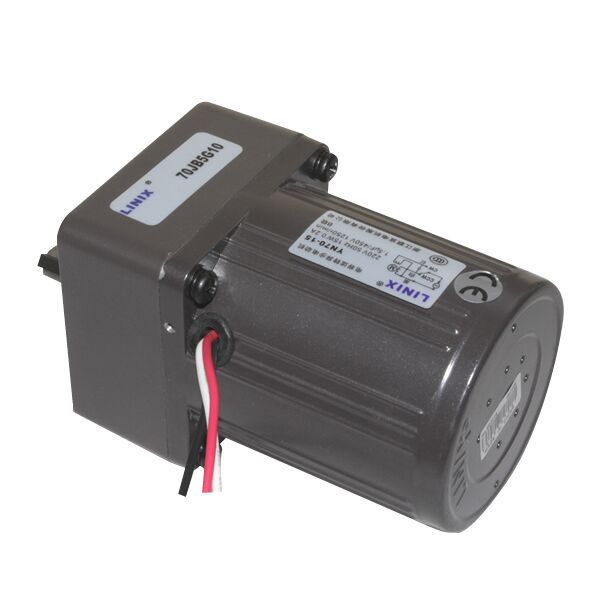 70mm 220V 250 RPM AC Motor YN70-15