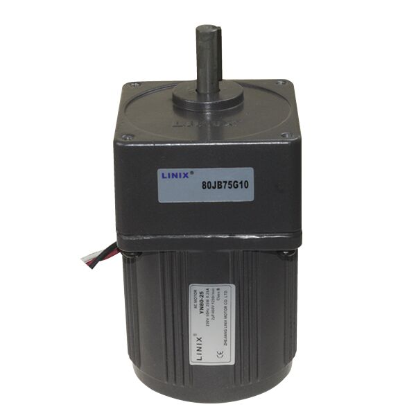 80mm 220V 16RPM AC Motor YN80-230-25