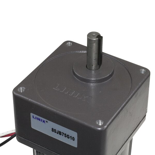 80mm 220V 16RPM AC Motor YN80-230-25