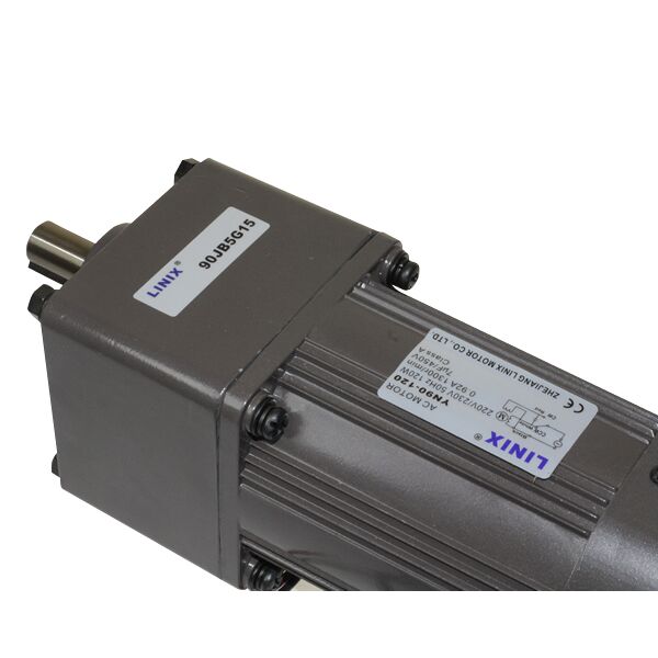 90mm 220V 7RPM AC Motor YN90-60